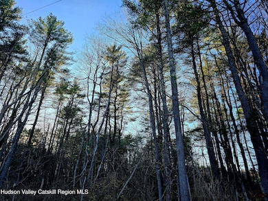 Lot 10 County Road 51, New Baltimore, NY 12124 - photo 3