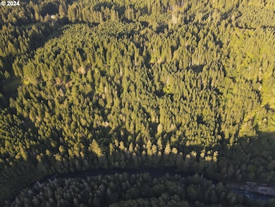 0 S Dickey Prairie Rd unit 24012878, Molalla, OR 97038 - photo 3