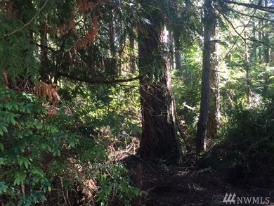 0 Crawford Rd unit 1034487, Langley, WA 98260 - photo 2