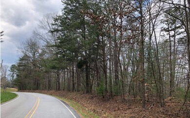 17AC Lakewood Hwy, Mineral Bluff, GA 30559 - photo 2