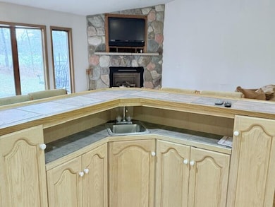 7353 Artesia Beach Rd, Saint Helen, MI 48656 - photo 7