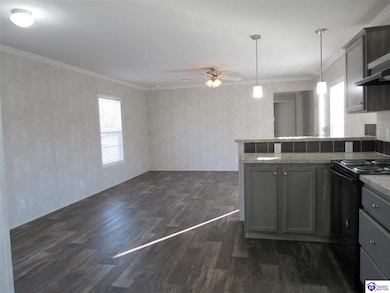 71 Rail Fence Loop, Elizabethtown, KY 42701 - photo 4