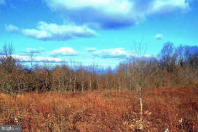 0 Freezeland View Ln unit VAWR2000224, Linden, VA 22642 - photo 5