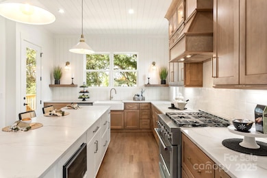 1119 N Myers St, Charlotte, NC 28206 - photo 7