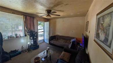 Carpeted living room with crown molding, a texture