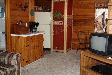 676 W Mohawk Trail, White Cloud, MI 49349 - photo 4