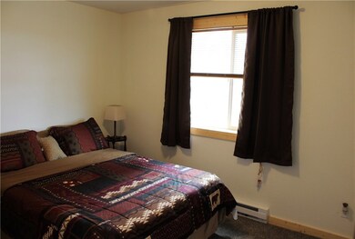 20 Willet Ln, Como, CO 80432 - photo 7