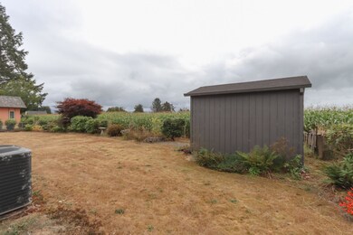 Garden Shed