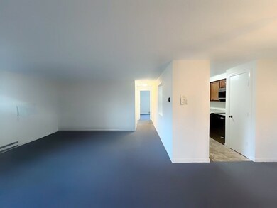 1003 N Main St unit 1, Randolph, MA 02368 - photo 4