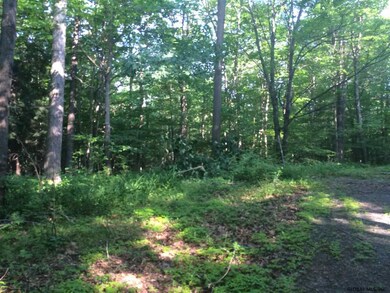 135 Droms Rd, Schenectady, NY 12302 - photo 5