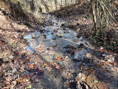 Lt 24 Winding Creek Rd, Blue Ridge, GA 30513 - photo 2