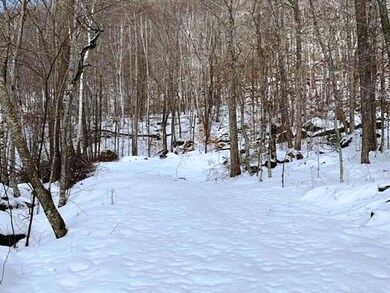 Lot 10 Tamarack Trail, Camden, ME 04843 - photo 3