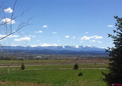 0 Road 23 5 unit 733933, Cortez, CO 81321 - photo 4