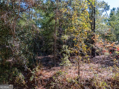 3.72 ACRES Florence Gay Rd, Cadwell, GA 31009 - photo 6