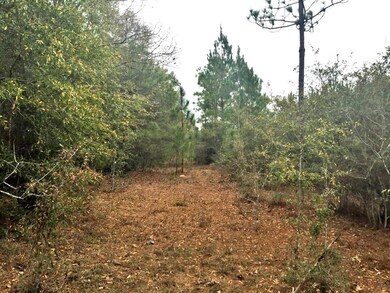 Hwy 85N 06