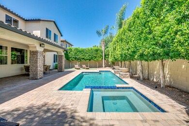 Backyard Oasis