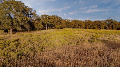 000 E Hackley Rd, Perrin, TX 76486 - photo 3