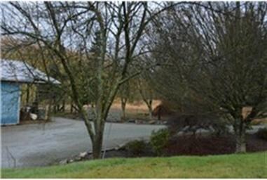 32620 English Grade Rd, Stanwood, WA 98292 - photo 5