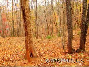 640 Whitney Blvd, Lake Lure, NC 28746 - photo 2