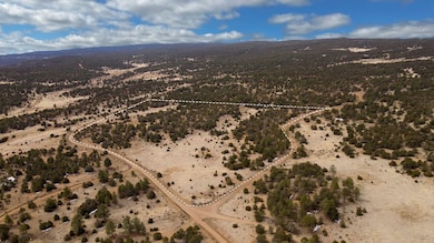 Dove Valley Rd, Pie Town, NM 87827 - photo 5