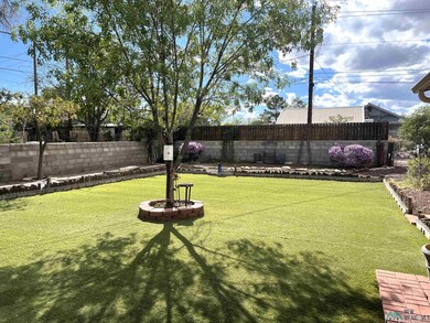 410 Grape St, Truth Or Consequences, NM 87901 - photo 2
