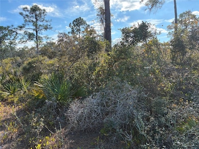 321 Showboat Ave, Lake Placid, FL 33852 - photo 3