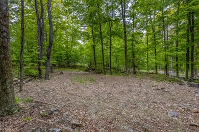 0 Mossy Hill Rd unit KEY862648, Catskill, NY 12414 - photo 3