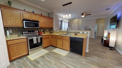 11239 Clusius, Helotes, TX 78023 - photo 5