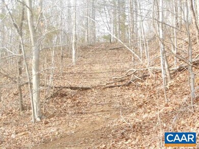 TBD Duncan Hollow Loop, Faber, VA 22938 - photo 5