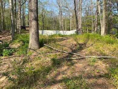 390 Allard Farm Circuit, North Conway, NH 03860 - photo 6