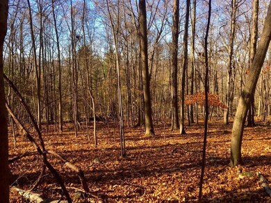 L163 Cleverdale Rd, Glens Falls, NY 12804 - photo 2