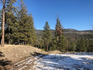 141 Torto Loop, Kila, MT 59920 - photo 3