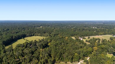 TBD Old Israel Rd, Livingston, TX 77351 - photo 5