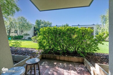Back patio