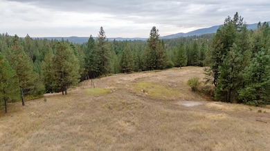 5491 C Sailor, Deer Park, WA 99006 - photo 4