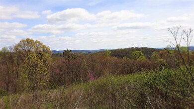 0 0 Maples Hollow Rd unit 1114351, Blaine, TN 37709 - photo 4