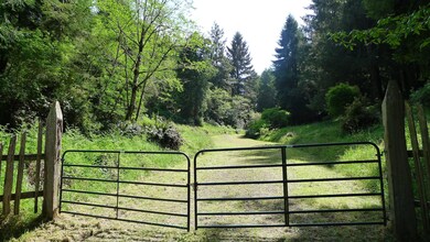 P1240795