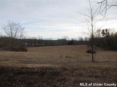 TBD Langridge Rd, Clermont, NY 12583 - photo 4