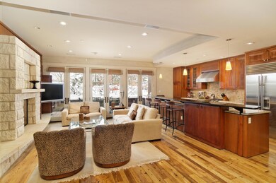 101 N Spring St unit 102, Aspen, CO 81611 - photo 2