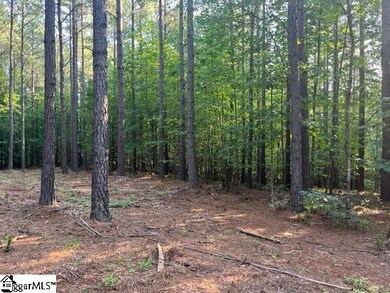 0 Manus Chapel Rd unit 1504435, Mill Spring, NC 28756 - photo 3