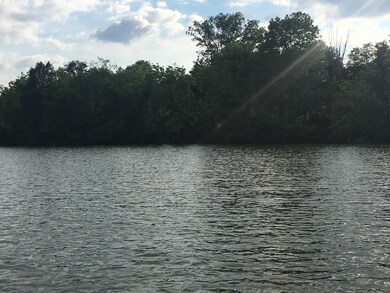 102 Kanutsu Ln, Loudon, TN 37774 - photo 7