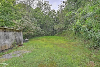 10103 Hayters Gap Rd, Abingdon, VA 24210 - photo 5