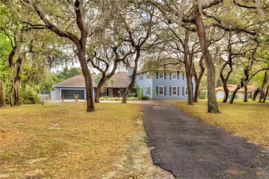 Oak Lined Driveway