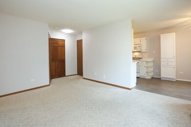 633 Mallard Ct unit A1, Bartlett, IL 60103 - photo 7