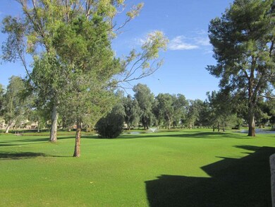 View from the patio