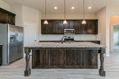 142 Lavender Ln, Springtown, TX 76082 - photo 4