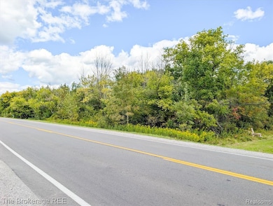 0 VACANT LAND Elms Rd, Flint, MI 48532 - photo 3