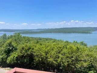 130 Curtis Ln, Kimberling City, MO 65686 - photo 5