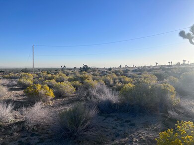 0 136th St E & Ave W11 unit 25002633, Pearblossom, CA 93553 - photo 7