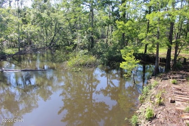 10012 SW Windsong Way, Blountstown, FL 32424 - photo 2